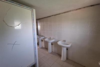 RECO Pensiune+sala de evenimente 150 locuri, 470 mp utili in Petreasa, com. Reme - 17