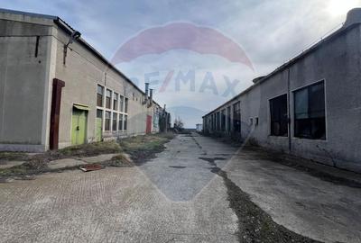 Spațiu industrial vinificatie Dobrinesti - 11