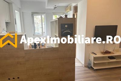 Garsoniera de inchiriat Cismigiu București | ApexImobiliare.ro - 6