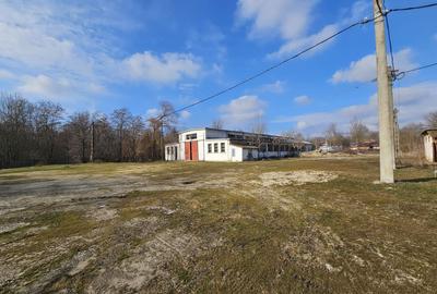 Vanzare amplasament industrial-servicii Tatarasti, Teleorman - 18