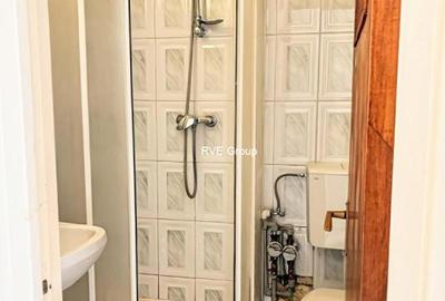 Vanzari Garsoniere Colentina Teiul Doamnei - 4