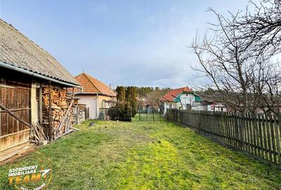 FILM! Oaza ta de liniste pe 0.5ha teren intravilan, Dalnic, Covasna - 13