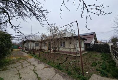 Casa (2 corpuri) si curte de 1401 mp la soseaua principala, Amara! - 1