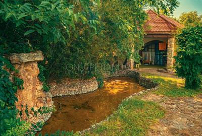 Casa superba cu vedere la lac in Izvorani – piscina, natura,si potential imens! - 9