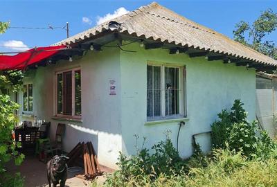 Casa Batraneasca in Topraisar cu Teren de 1711 mp si Deschidere 42 ml - 2