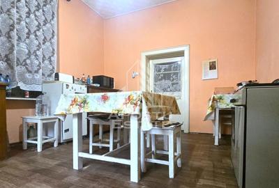 Proprietate cu potential turistic in Gurahont - 6