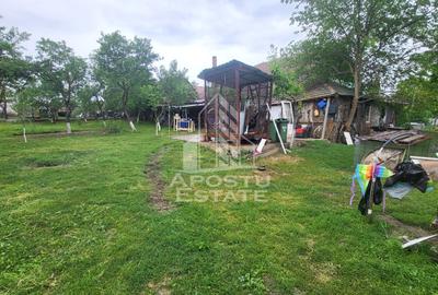 Casa individuala cu 6 camere,2 bai,teren de 1017 mp Pischia Central - 15
