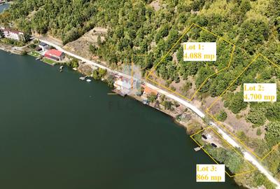 Teren la Eselnita,  Golful Mraconia - Statuia lui Decebal - 1