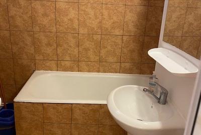 Apartament 2 camere, etaj 3, central, 300 euro/lunar. - 15