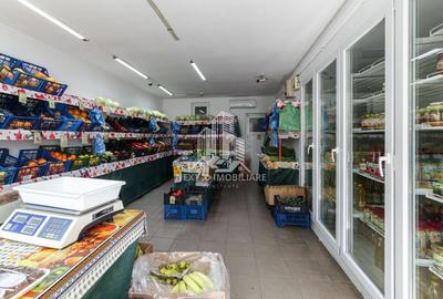 Casă cu deschidere stradală + spațiu comercial închiriat - 11