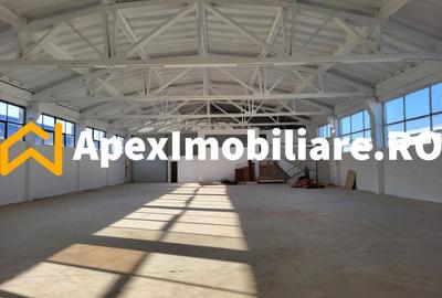 Hala Industriala Xenia – 1800 mp, Acces TIR, Parcare 50 Auto - 2