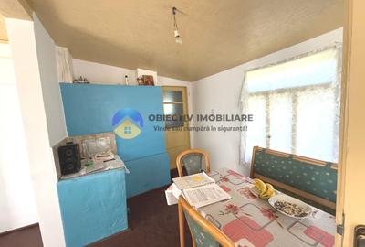 CASĂ + teren 4500 mp DRAGOMIREȘTI, judetul Neamț - 15