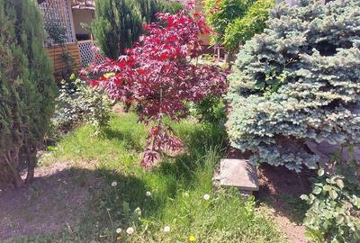 Proprietate ultracentral - 1