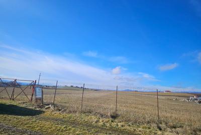 Teren intravilan - Halchiu, construire locuinte individuale - 6