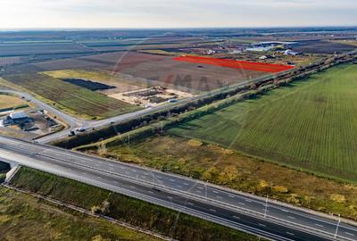 Teren 29220 mp Pecica,DN7, langa autostrada- Ideal pentru afaceri - 5