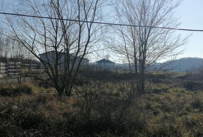 Teren intravilan Comuna Snagov , Lac Snagov - 5