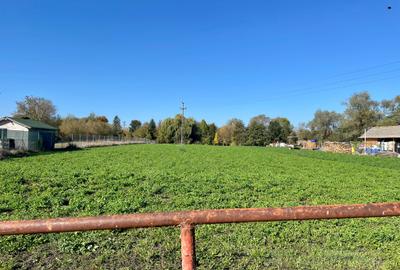 Teren de vanzare Prejmer - 8