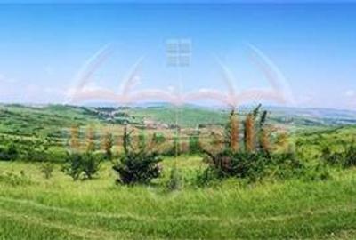 Teren de vanzare in  jud. Cluj, Loc. Feleacu 2.900mÂ˛/27 - 1