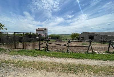 Teren de vanzare zona CAP- Tulcea - 8