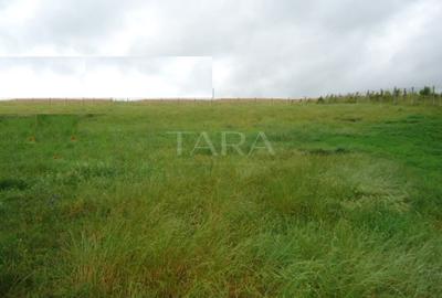 Teren 3800 mp Sânnicoară – utilități, potențial, oportunitate. - 1