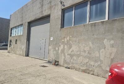 Hala de inchiriat. Depozitare sau productie. - 1