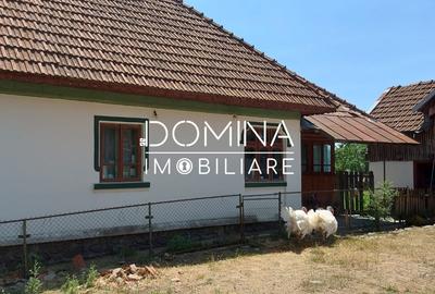 Vanzare casa traditionala, teren 1583 mp, Polovragi - 3