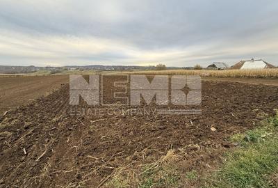 Teren 10.000 mp | Grănicesti | Lângă E85 | Front 25 m - 2