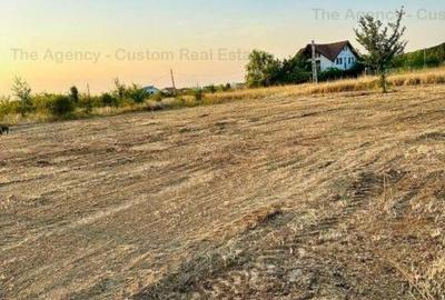 Teren 1200 mp (30x40) - Cartier Romatsa - 4