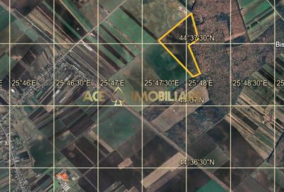 Teren Extravilan | Tartasesti - Bildana | 27 HA | Comision 0% - 2