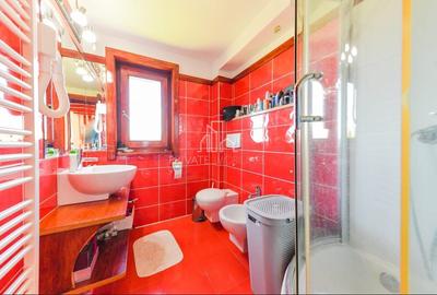 Vila/Proprietate Speciala, 500mp utili, 3300mp teren, Sangeorgiu de Ms - 18