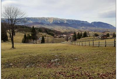 Teren Cu Priveliste Panoramica Si Acces Din Drumul Principal - 1