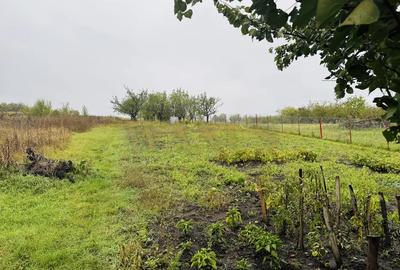 Casa individuala | 90mp util | teren 1000mp | Dezmir - 3