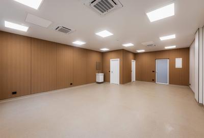 Centru Medical Ropharma , spatii de inchiriat | 57 - 500 mp - Zona Centrala - 8