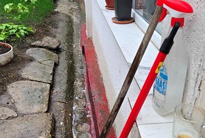 Casa si Teren - Roman, str. Miron Costin, nr. 46 - 10