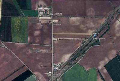 Teren de vanzare  - Caciulati - Ilfov - 6