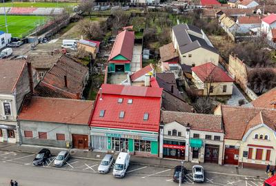Investiție în Aradul Nou – spațiu comercial,  hala, si un penthouse - 1