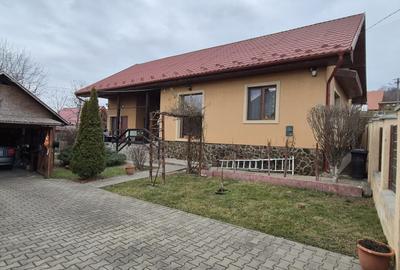 De vanzare casa cu teren in Curteni - 2
