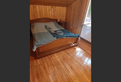 Vila superba 7 camere, Provita de Jos, 22.000 mp teren - 14