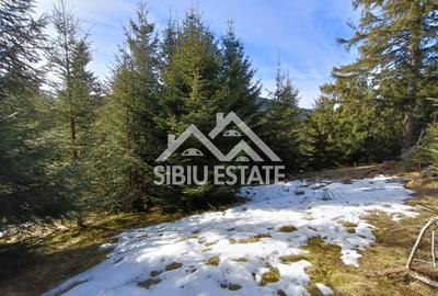 Teren de vânzare în zona montană a județului Alba - 6