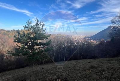Teren Colinar Panoramic – 17.684 mp în Scheii Brașovului - 10