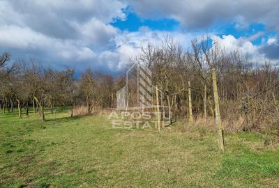 Casa individuala de vanzare, teren 1750 mp, Zona: Sanandrei - 15