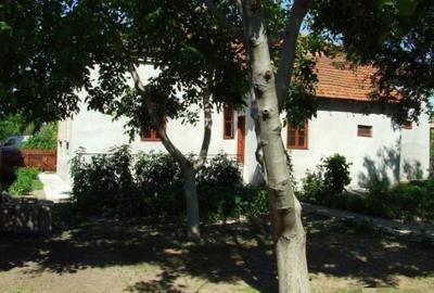Conac boieresc - 5 camere - Nicolae Balcescu - 105.000 euro (Cod E11) - 2