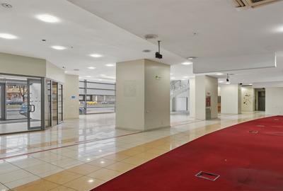 Spatiu comercial de inchiriat Sos. Pantelimon nr. 258 (Piața Delfinului) - 6