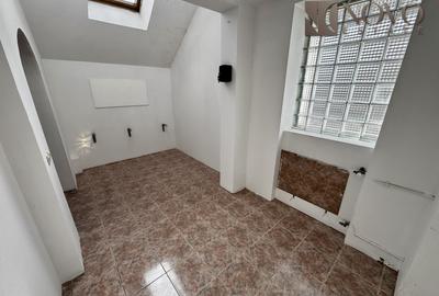 8 Camere | Herastrau | 335 mp utili | Teren 300 mp | - 13