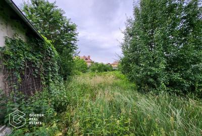 Casa la rosu, teren 7105 mp, Lipova - 5
