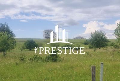 TEREN DE VÂNZARE 1000 MP ȘELIMBĂR ZONA TROIȚĂ | INVESTIȚIE - 4