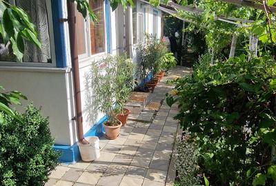 Comision 0 %  - Casa si curte generoasa in   Valu lui Traian! - 11