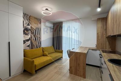 Apartament cu 1 camere decomandat, mobilat în Vasile Alecsandri