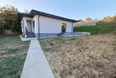 Casă parter, 3 camere, 818 mp teren, zona Valea Adanca - 14