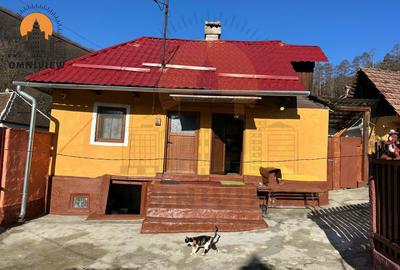 Casă cu teren mare în Ormeniș, lângă râu – la 30 km de Brașov - 2
